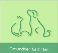 Tierarzt (m/w/d) für Kleintiere gesucht – Verstärke unser Team in Hermannsburg!
