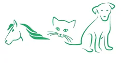 Tierarzt/ -ärztin in Teilzeit gesucht